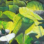 Anit Van Hercke – Lichtspiele I