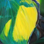 Anit Van Hercke – Transparenz