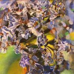 Anit Van Hercke – Mittagshitze in Ajaccio